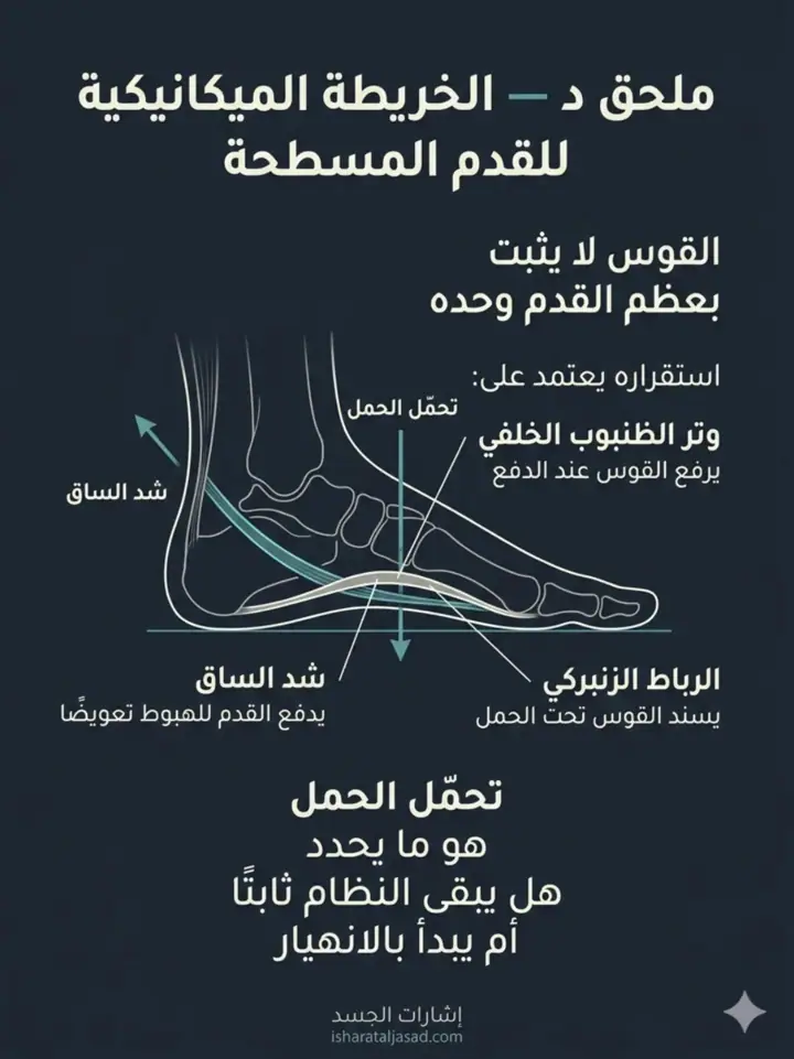 الشريحة 19 من 22: شكل القدم ليس تشخيصًا