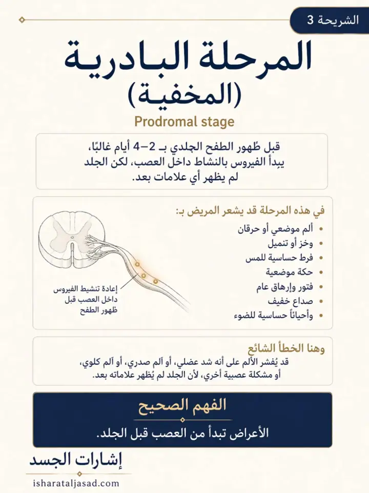 الشريحة 3 من 8: الحزام الناري ليس مجرد طفح جلدي