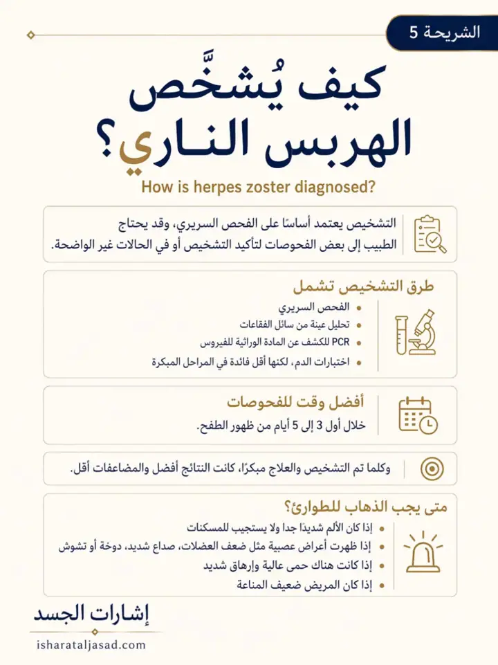 الشريحة 5 من 8: الحزام الناري ليس مجرد طفح جلدي