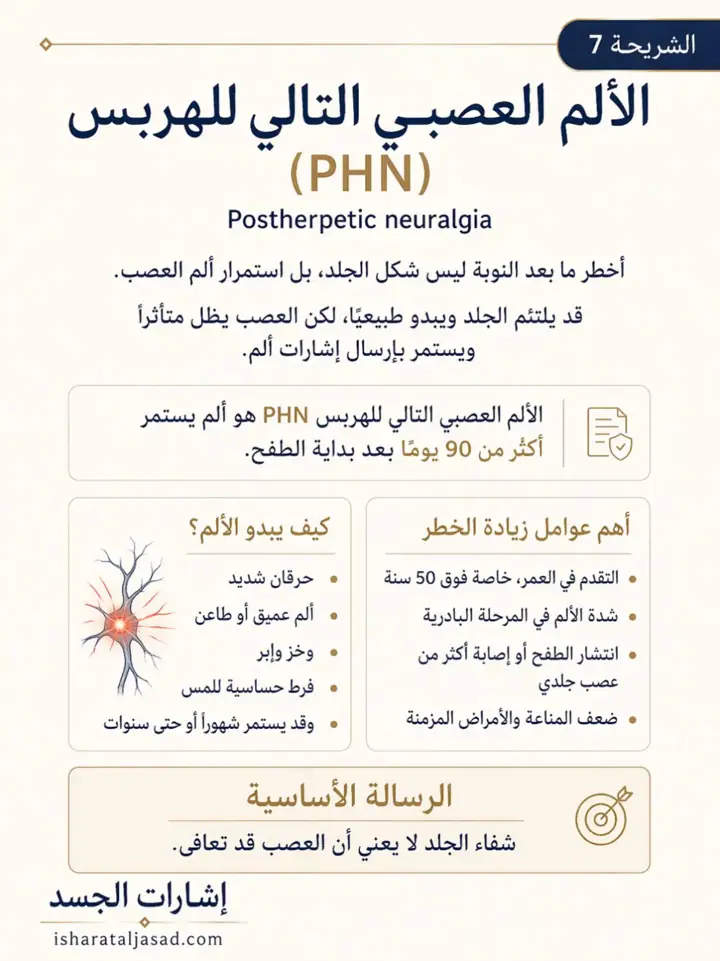 الشريحة 7 من 8: الحزام الناري ليس مجرد طفح جلدي