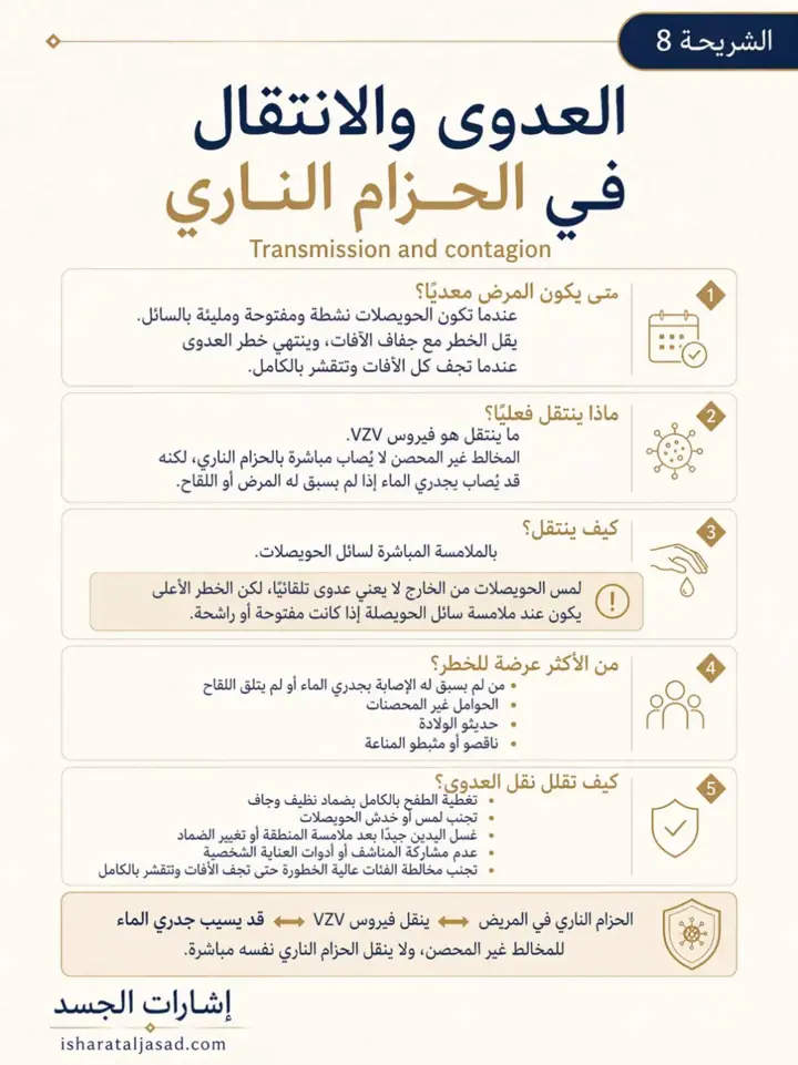 الشريحة 8 من 8: الحزام الناري ليس مجرد طفح جلدي