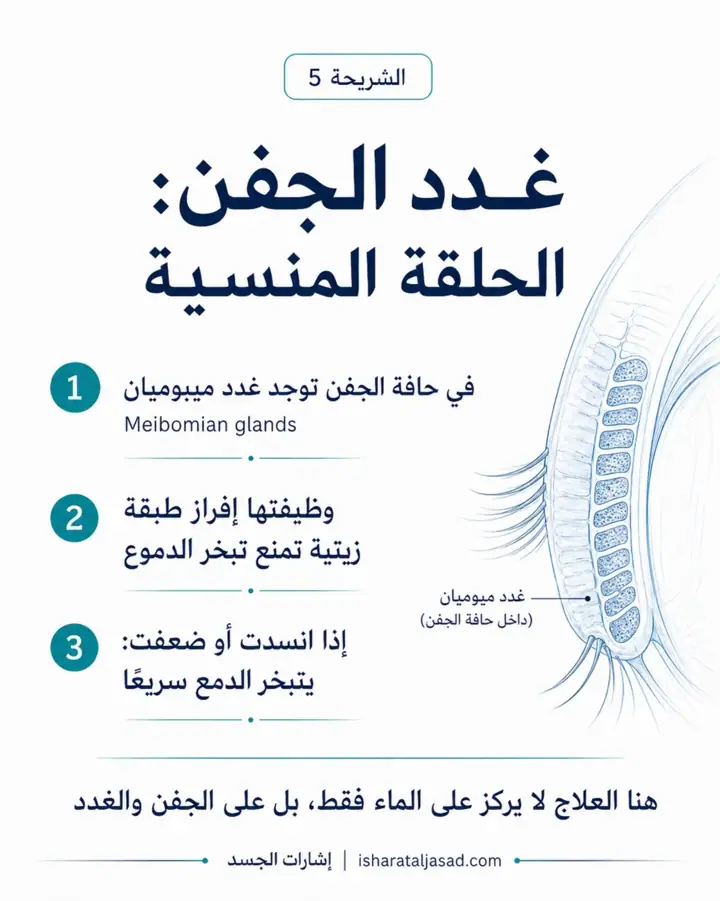 الشريحة 5 من 8: جفاف العين ليس دائمًا مشكلة تُحل بقطرة فقط