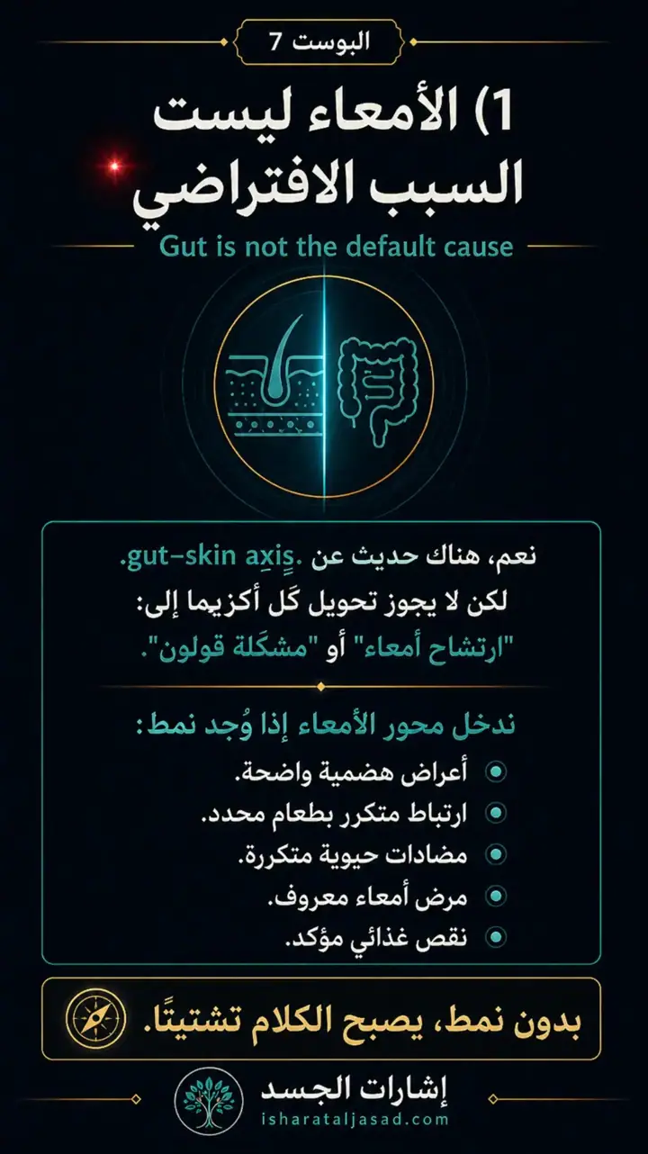 الشريحة 5 من 7: من الجلد إلى الجسد