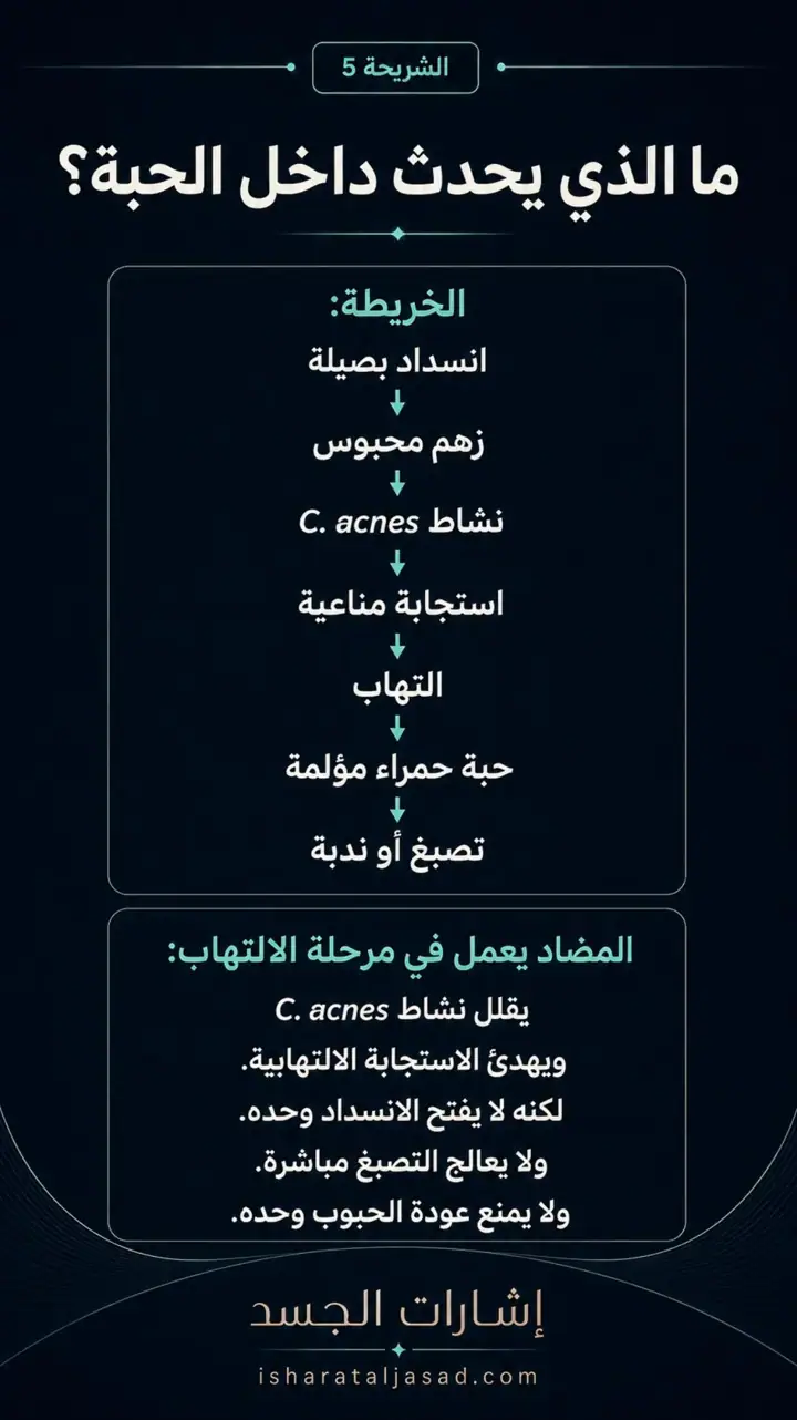 الشريحة 6 من 17: مضاداً حيوياً لحب الشباب؟