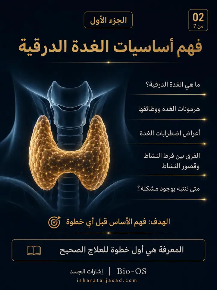 الشريحة 2 من 7: الغدة الدرقية ليست مجرد تحليل أو رقم في تقرير