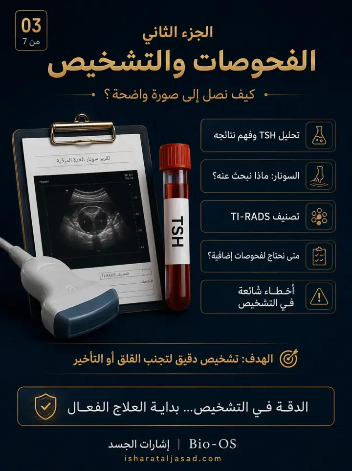 الشريحة 3 من 7: الغدة الدرقية ليست مجرد تحليل أو رقم في تقرير
