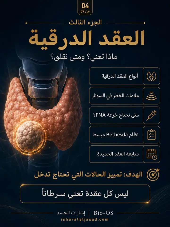 الشريحة 4 من 7: الغدة الدرقية ليست مجرد تحليل أو رقم في تقرير