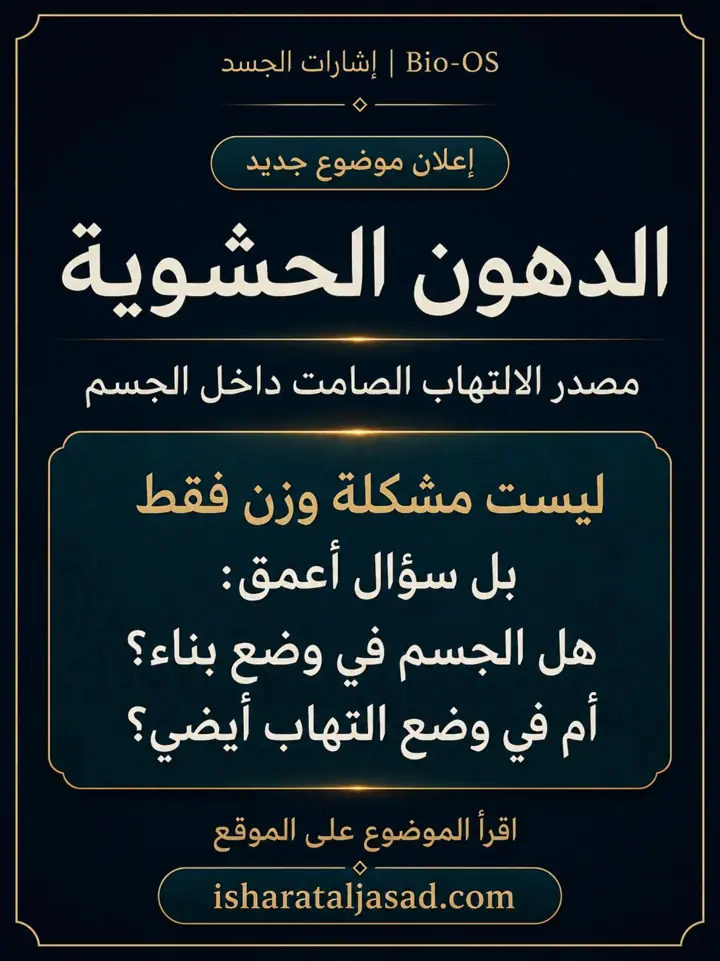 الشريحة 1 من 5: الدهون الحشوية ليست مجرد “كرش” أو رقم على الميزان