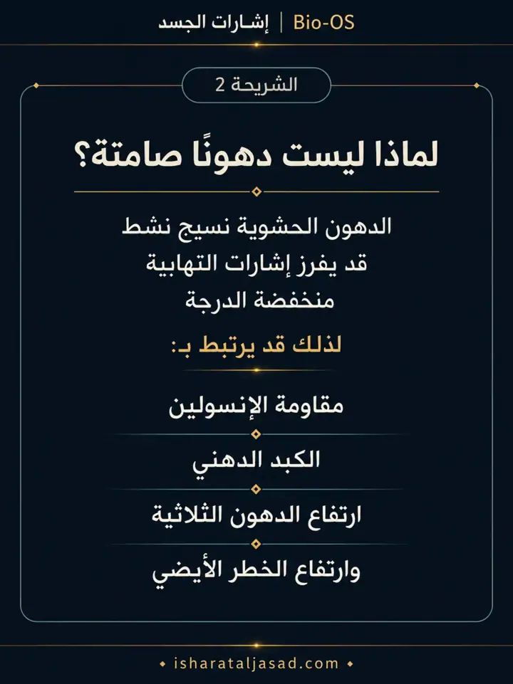 الشريحة 2 من 10: الدهون الحشوية ليست مجرد “كرش” أو رقم على الميزان