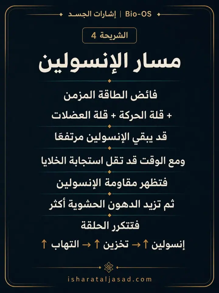 الشريحة 4 من 10: الدهون الحشوية ليست مجرد “كرش” أو رقم على الميزان
