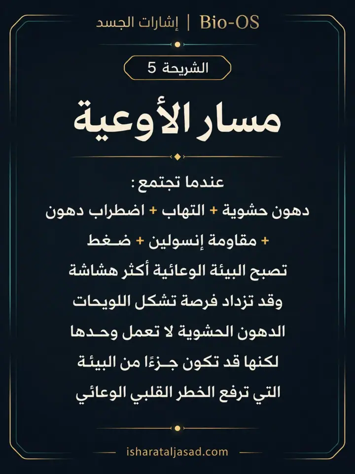 الشريحة 5 من 10: الدهون الحشوية ليست مجرد “كرش” أو رقم على الميزان
