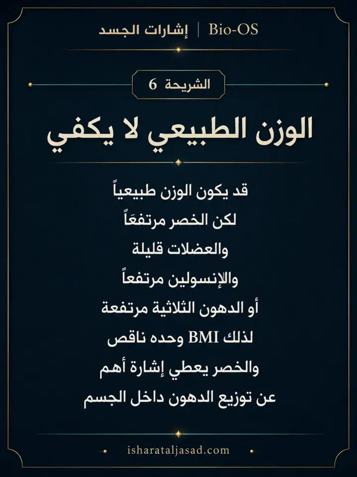 الشريحة 6 من 10: الدهون الحشوية ليست مجرد “كرش” أو رقم على الميزان