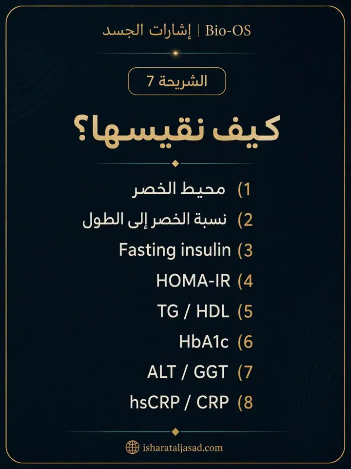 الشريحة 7 من 10: الدهون الحشوية ليست مجرد “كرش” أو رقم على الميزان