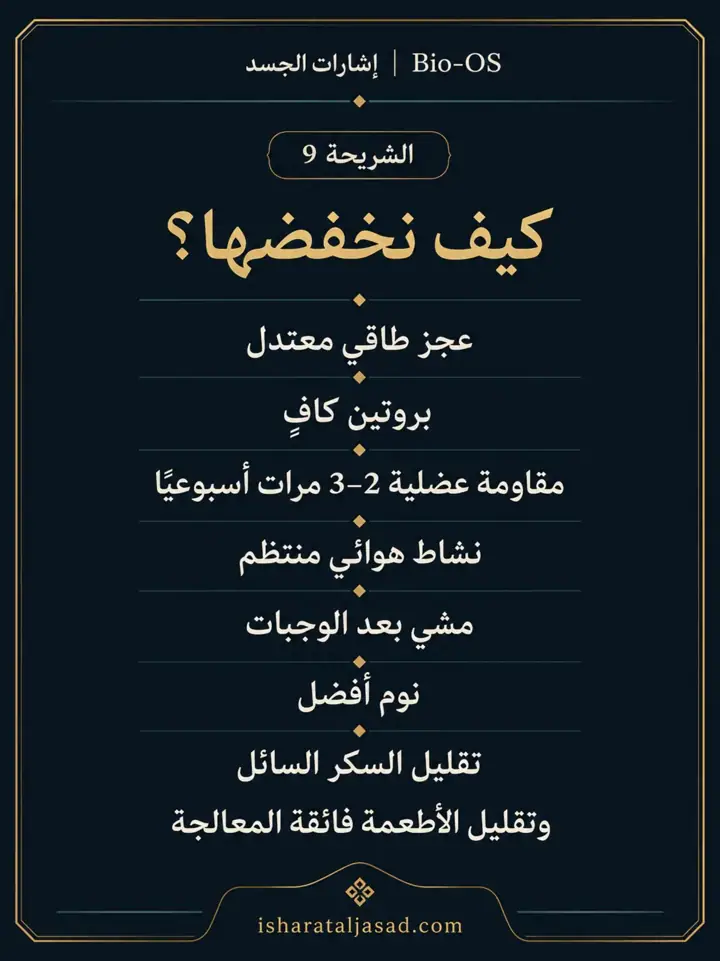 الشريحة 9 من 10: الدهون الحشوية ليست مجرد “كرش” أو رقم على الميزان