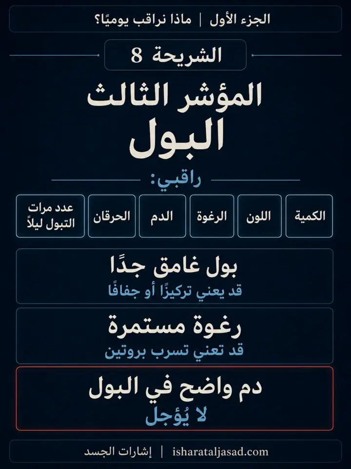 الشريحة 8 من 12: الكلى — الجزء الأول: ماذا نراقب يوميًا؟