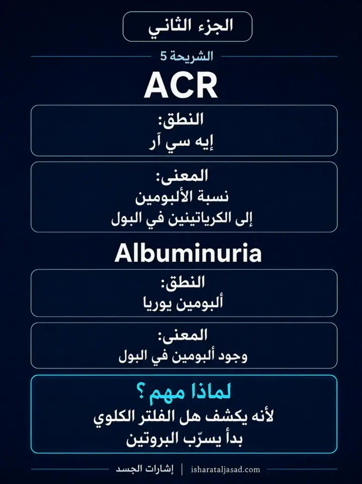 الشريحة 4 من 12: الكلى — الجزء الثاني: كيف تقرأ التحاليل؟