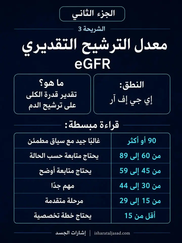 الشريحة 5 من 12: الكلى — الجزء الثاني: كيف تقرأ التحاليل؟