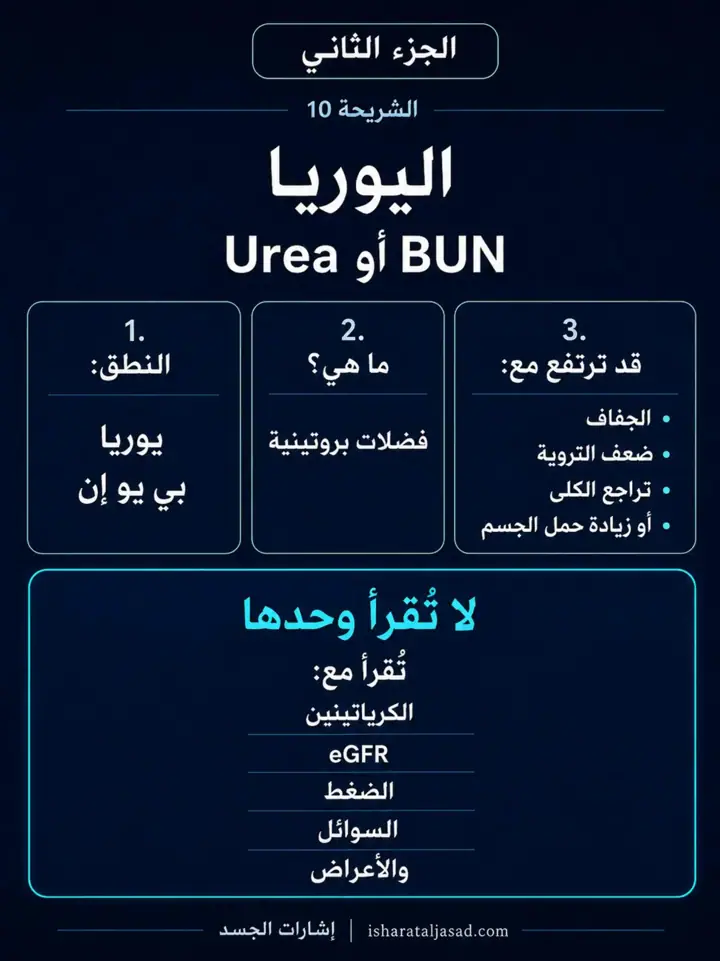 الشريحة 6 من 12: الكلى — الجزء الثاني: كيف تقرأ التحاليل؟