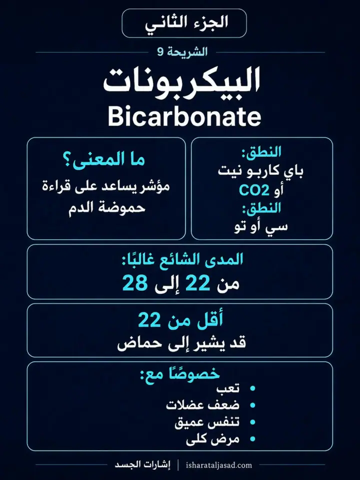 الشريحة 7 من 12: الكلى — الجزء الثاني: كيف تقرأ التحاليل؟