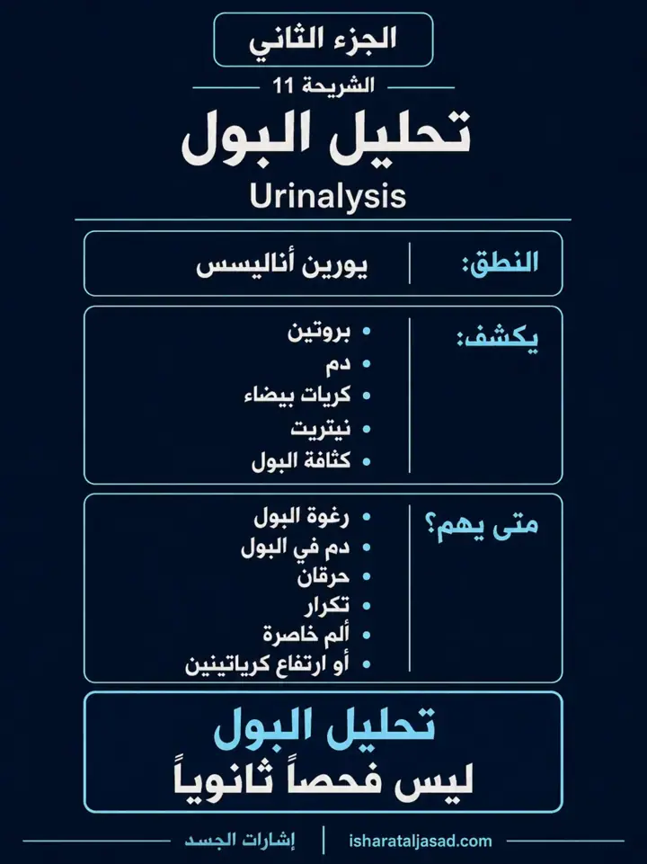 الشريحة 11 من 12: الكلى — الجزء الثاني: كيف تقرأ التحاليل؟