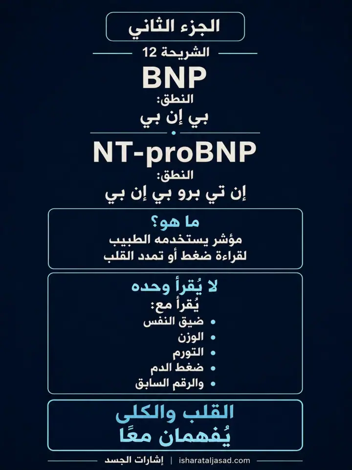 الشريحة 12 من 12: الكلى — الجزء الثاني: كيف تقرأ التحاليل؟