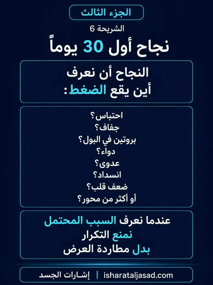 الشريحة 6 من 11: الكلى — الجزء الثالث: خطة 90 يومًا