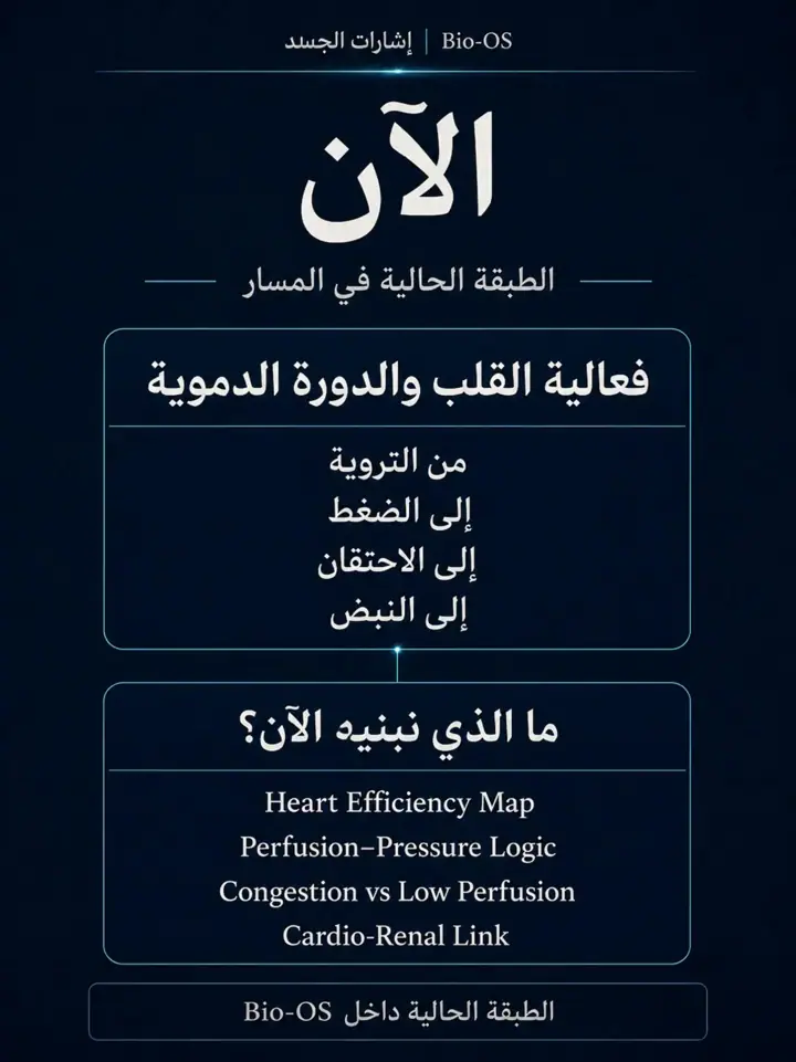 الشريحة 2 من 3: ماذا تم؟