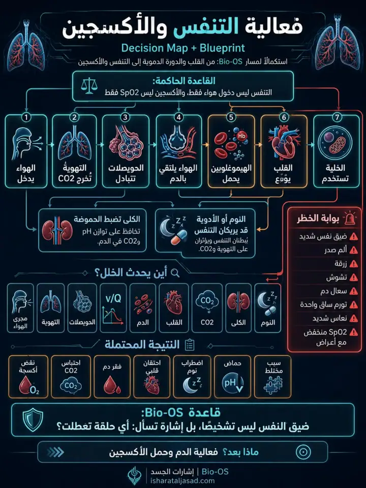 الشريحة 1 من 1: فعالية التنفس والأكسجين: خريطة القرار