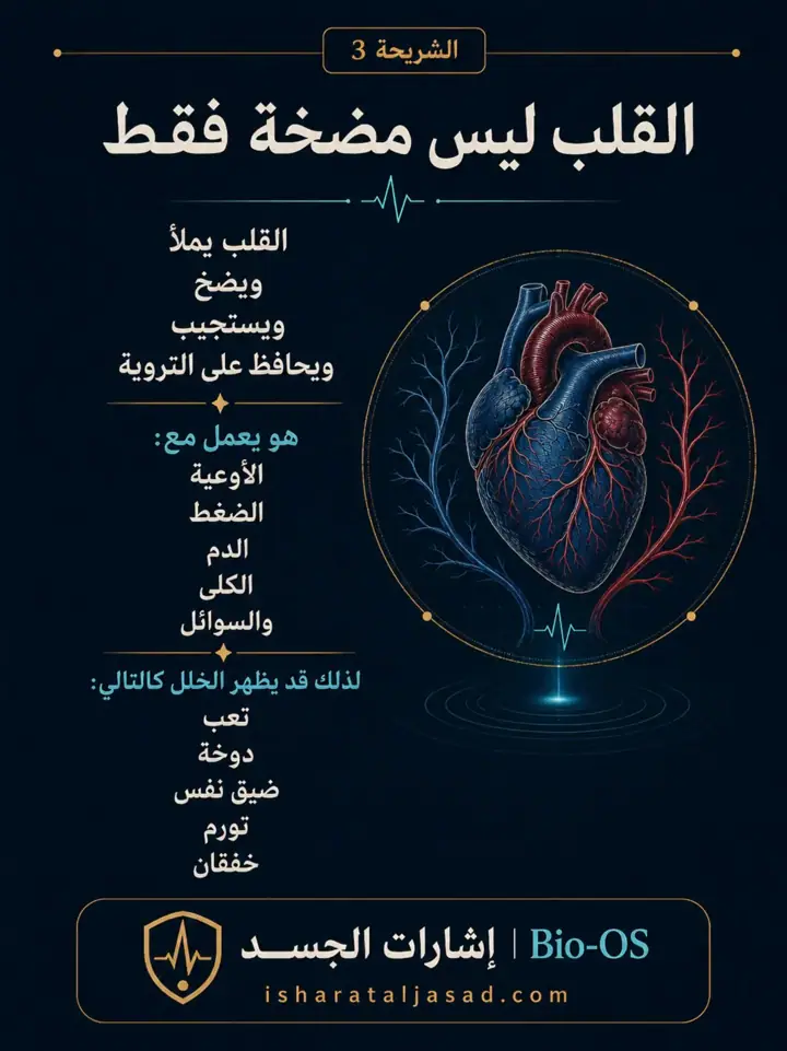 الشريحة 3 من 24: فعالية القلب والدورة الدموية