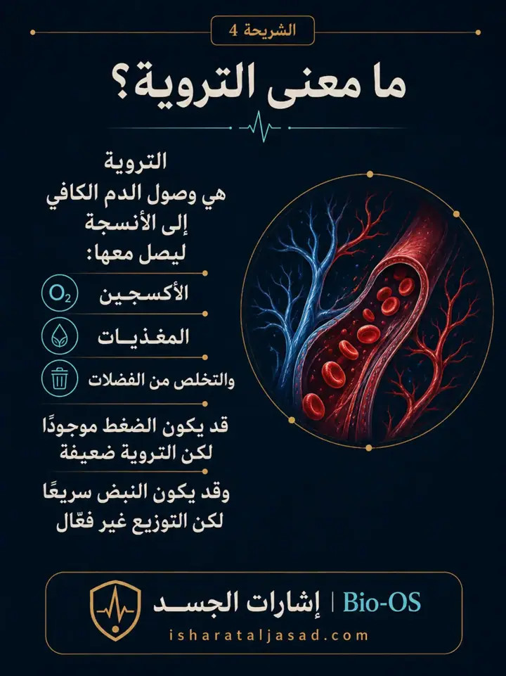 الشريحة 4 من 24: فعالية القلب والدورة الدموية