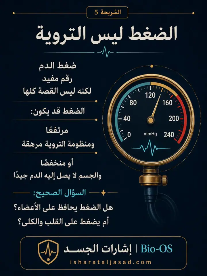 الشريحة 5 من 24: فعالية القلب والدورة الدموية