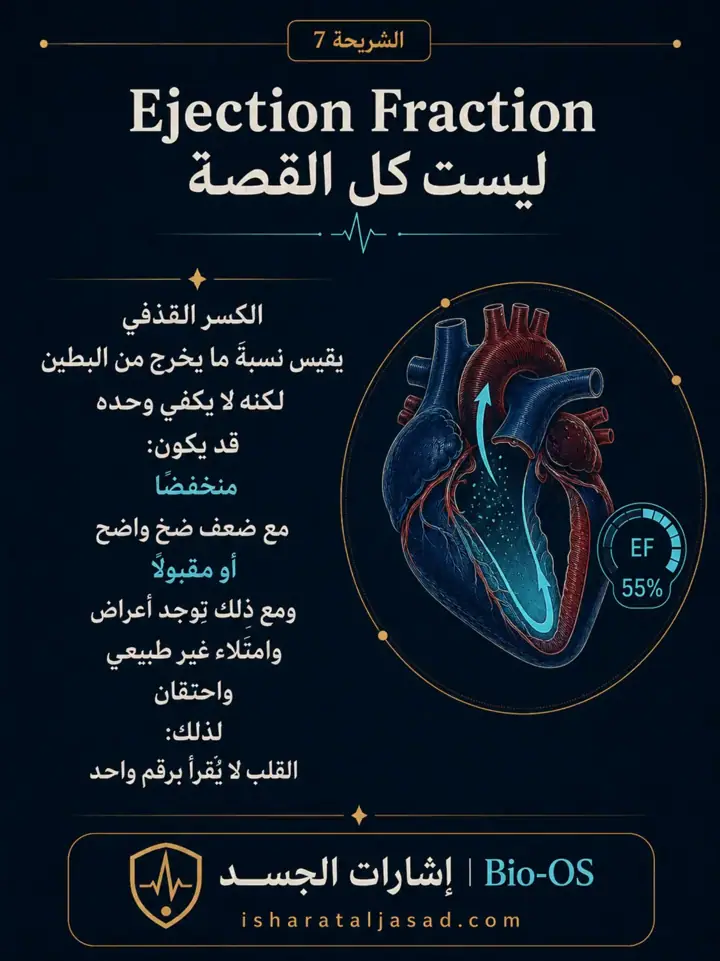 الشريحة 7 من 24: فعالية القلب والدورة الدموية