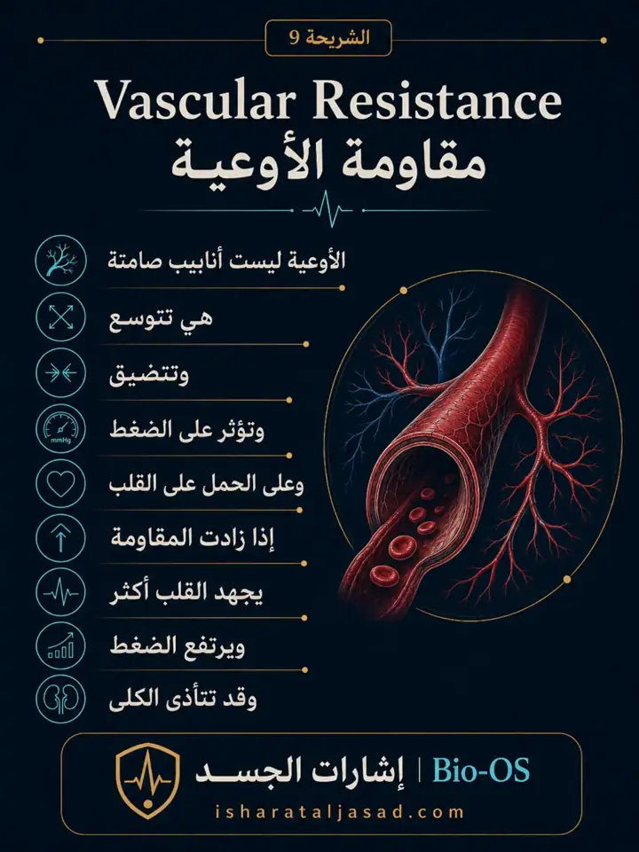 الشريحة 9 من 24: فعالية القلب والدورة الدموية