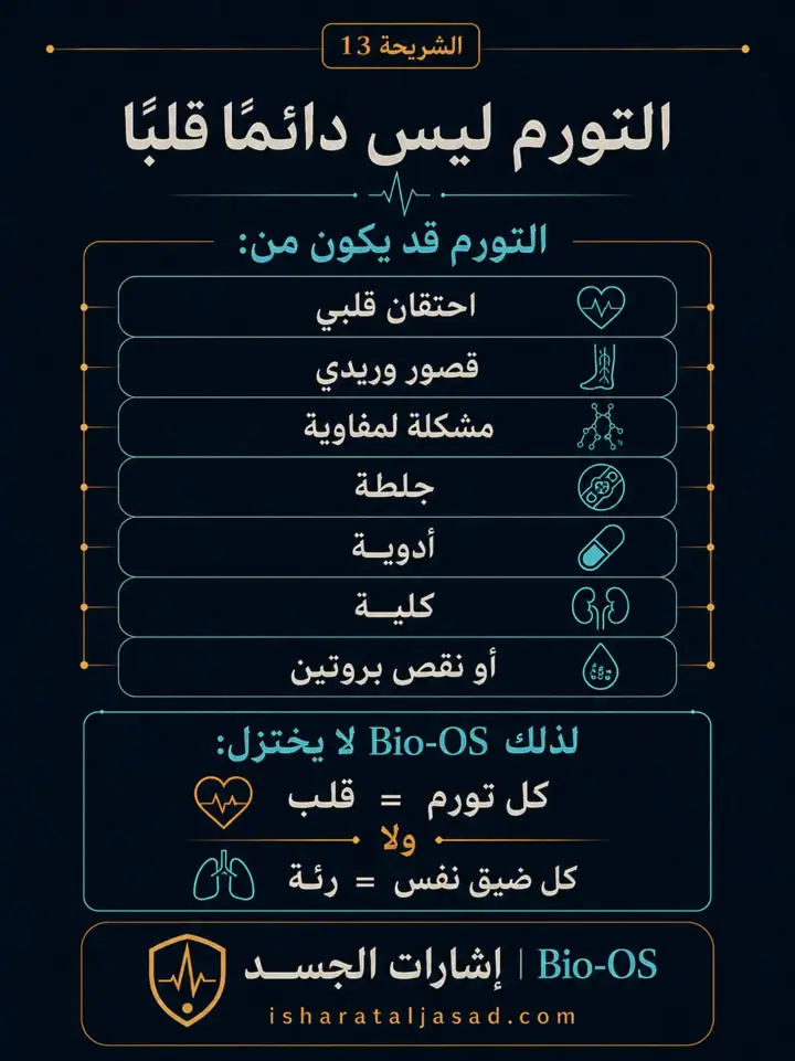 الشريحة 13 من 24: فعالية القلب والدورة الدموية