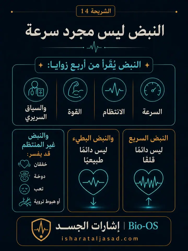 الشريحة 14 من 24: فعالية القلب والدورة الدموية