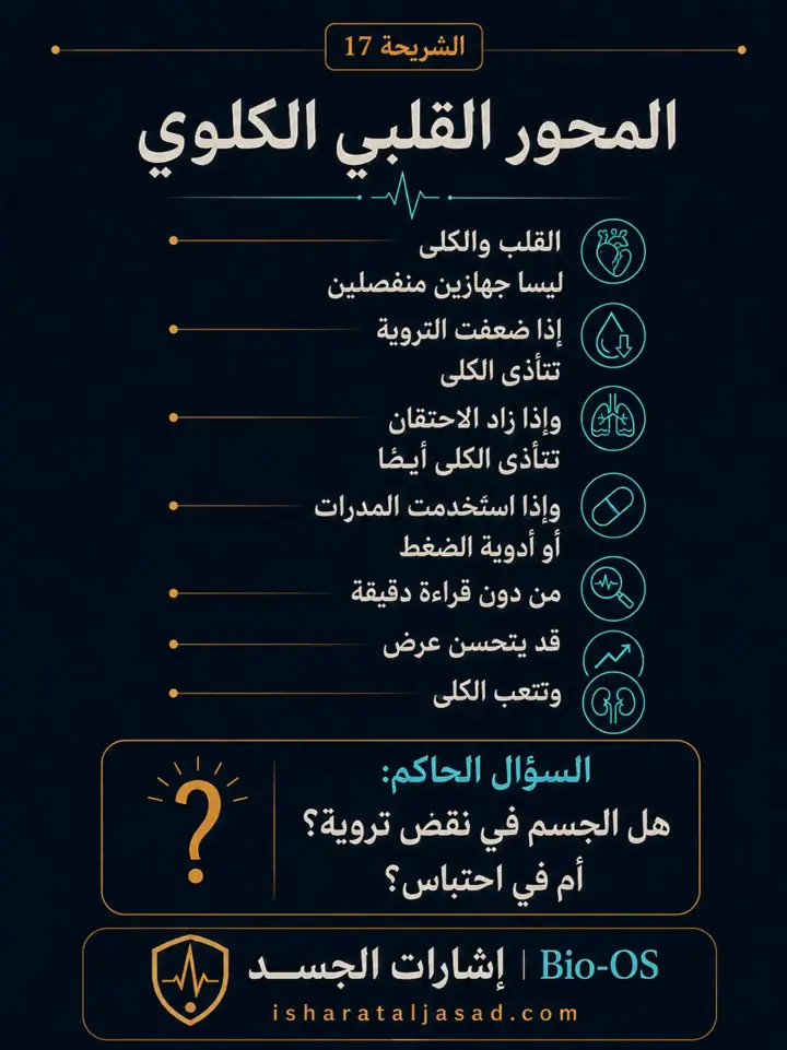 الشريحة 17 من 24: فعالية القلب والدورة الدموية