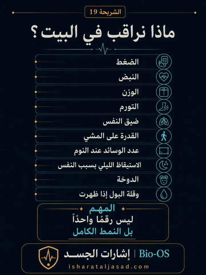 الشريحة 19 من 24: فعالية القلب والدورة الدموية