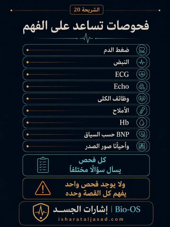 الشريحة 20 من 24: فعالية القلب والدورة الدموية