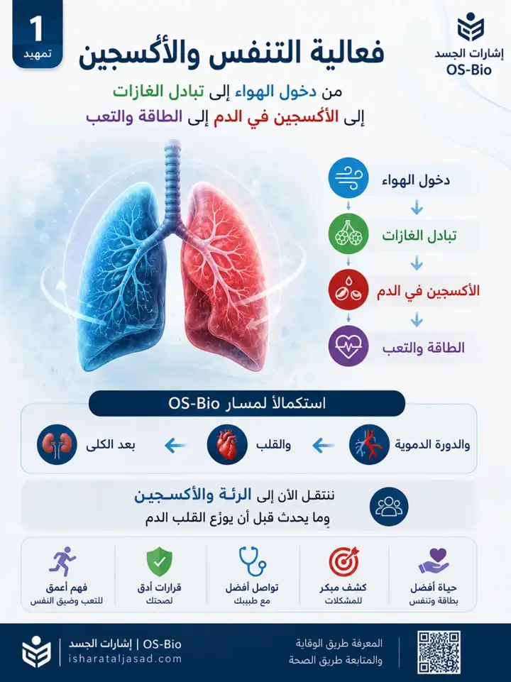 الشريحة 1 من 1: فعالية التنفس والأكسجين: من دخول الهواء إلى الطاقة