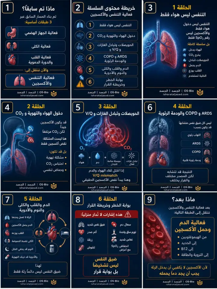 الشريحة 1 من 1: فعالية التنفس والأكسجين: خريطة الحلقات