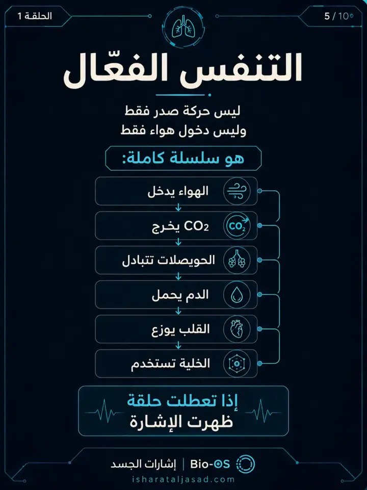 الشريحة 5 من 10: التنفس ليس هواء فقط