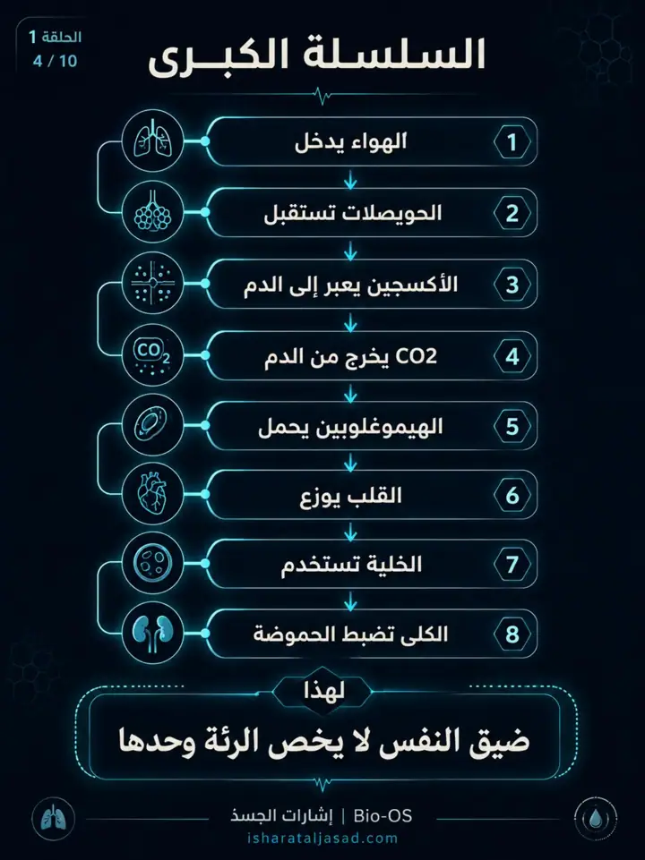 الشريحة 6 من 10: التنفس ليس هواء فقط