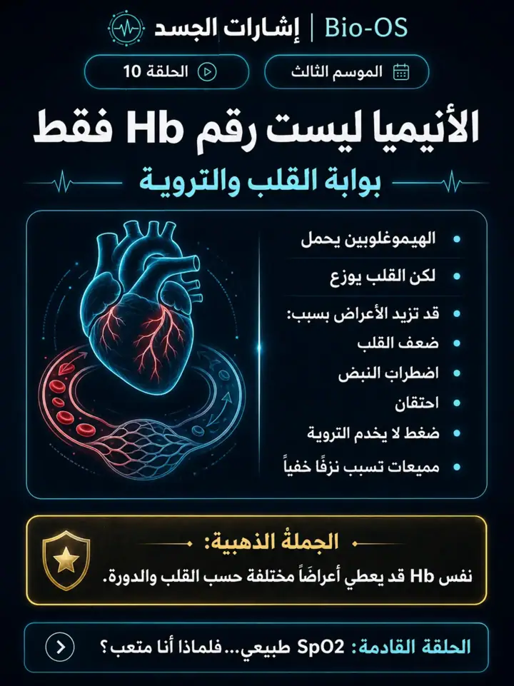 الشريحة 1 من 4: الأنيميا ليست نقص حديد فقط