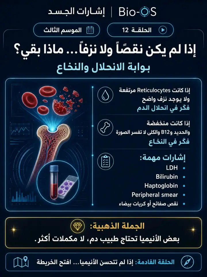 الشريحة 3 من 4: الأنيميا ليست نقص حديد فقط