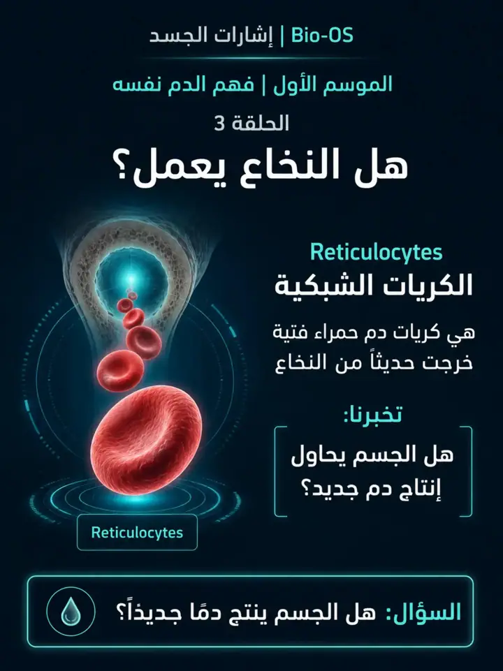 الشريحة 2 من 11: هل النخاع يعمل؟