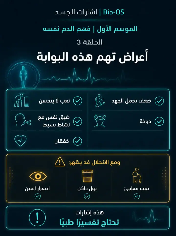 الشريحة 8 من 11: هل النخاع يعمل؟