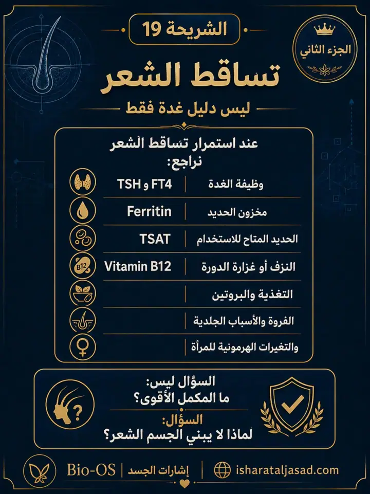 الشريحة 2 من 13: هل التعب من الغدة فعلًا؟