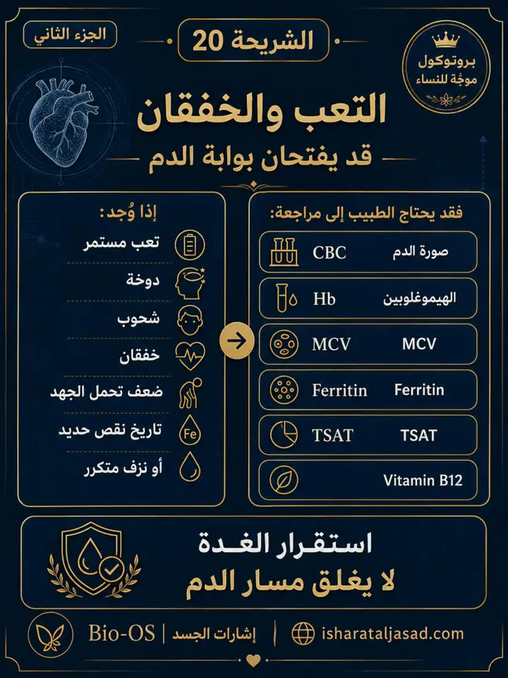 الشريحة 3 من 13: هل التعب من الغدة فعلًا؟