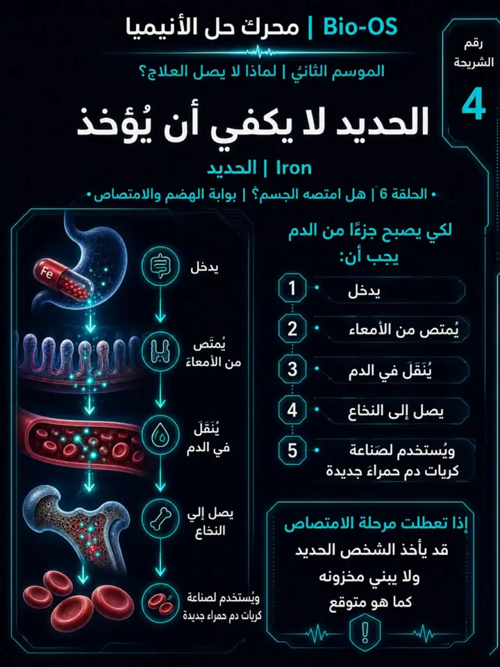 الشريحة 5 من 11: الهدف من الموسم الثاني: محرك حل الأنيميا