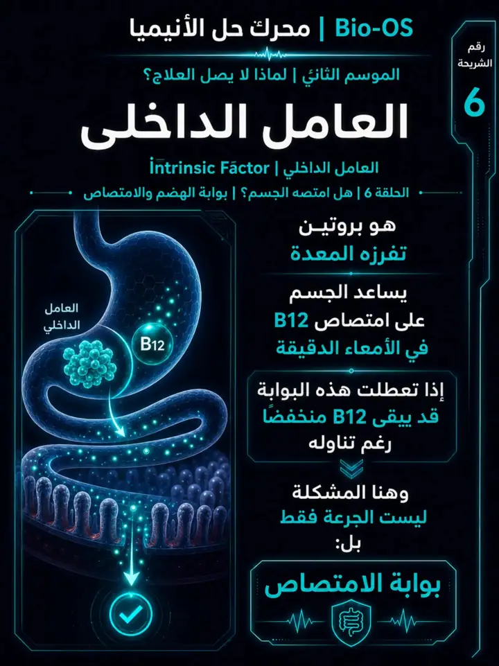 الشريحة 7 من 11: الهدف من الموسم الثاني: محرك حل الأنيميا